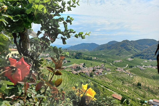 Prosecco Hills Day Trip from Venice & Treviso: 2 Wineries - Venice or Treviso pickup: the day starts easy