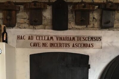 Prosecco Hills Day Trip from Venice & Treviso: 2 Wineries - What you learn on the way to Valdobbiadene