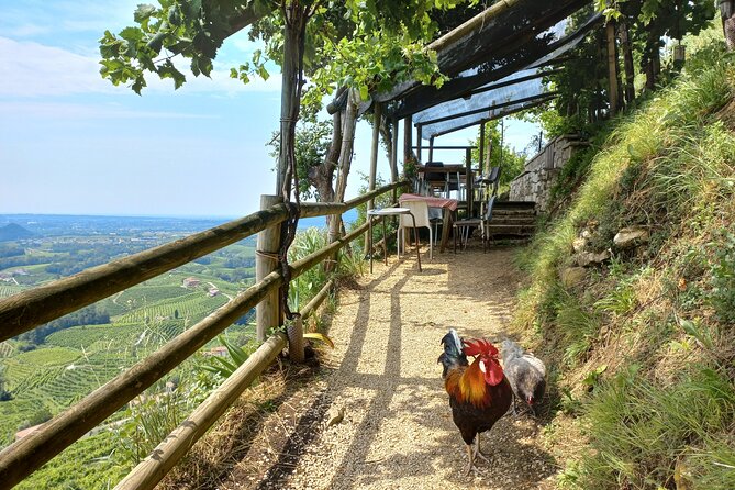 Prosecco Hills Day Trip from Venice & Treviso: 2 Wineries - The return through the hills: final views and drop-off
