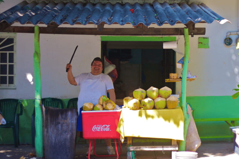 Puerto Vallarta 3-Hour Food Tour of Authentic Local Cuisine - Why This 3-Hour Puerto Vallarta Food Tour Feels Like the Right Amount
