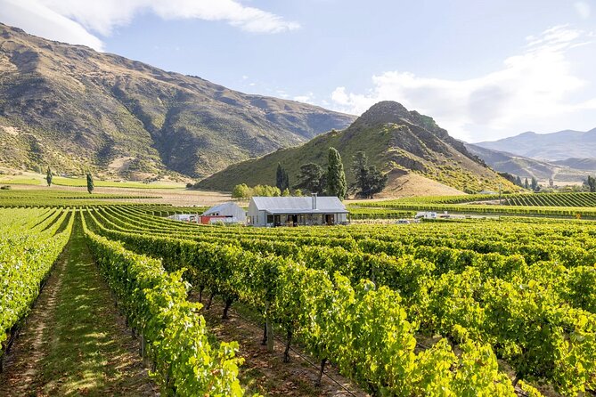Queenstown Wine & Food Tour: Scenery, Tastings & Delicious Lunch! - Stop 2 at Mt Rosa Wines: hosted tasting time with a point of view