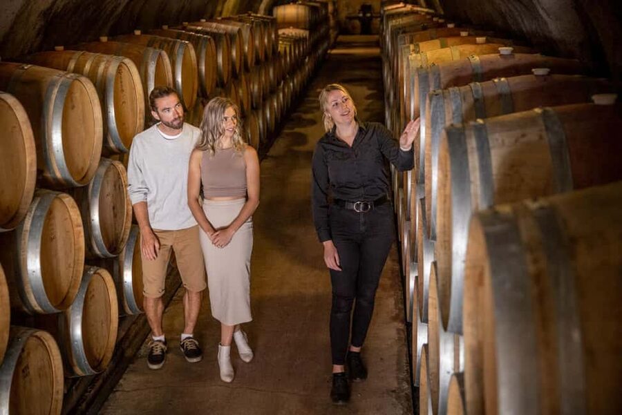 Queenstown: Wine & Food Tour, Scenic Tastings & Paired Lunch - The Tasting Lineup: Three Gibbston Stops With Hosted Presentations