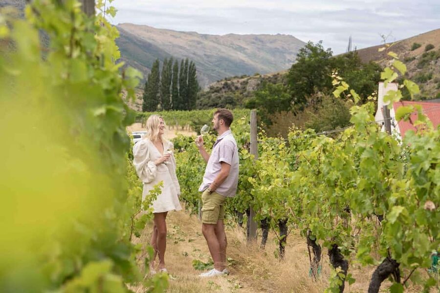Queenstown: Wine & Food Tour, Scenic Tastings & Paired Lunch - Should You Book It? My Practical Take
