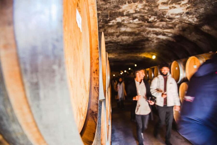 Queenstown: Wine Tasting Tour - Price and value: why $134 can make sense