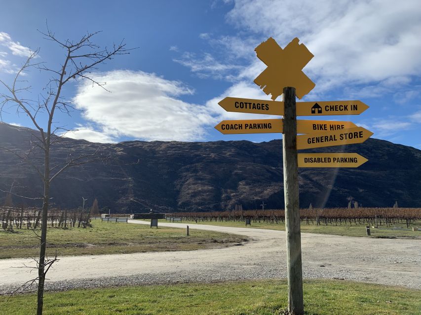 Queenstown: Wine Tasting Tour - Mt Rosa Wines: owner-operator labels and what to expect