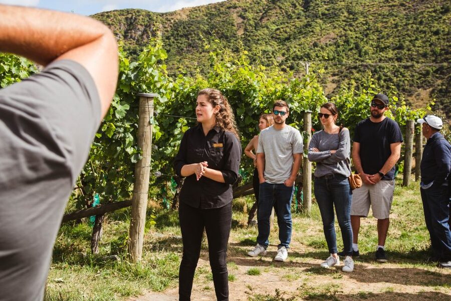 Queenstown: Wine Tasting Tour - The Church Tasting Room and Mt Edward Wines on the grounds