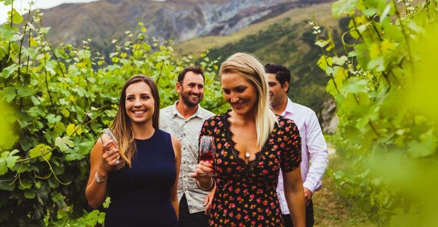 Queenstown: Wine Tasting Tour - Premium van comfort plus WiFi and Spotify for the ride