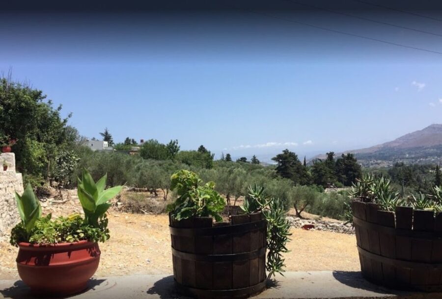 Rethymno: Private Winery & Olive Oil Tasting Tour with Lunch - The secret stop: a one-hour wildcard that helps the route feel lived-in