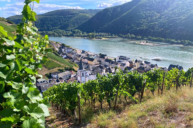 Rhine Valley Wine Tasting Tour from Frankfurt and Mainz - Key things that make this Rhine Valley day work