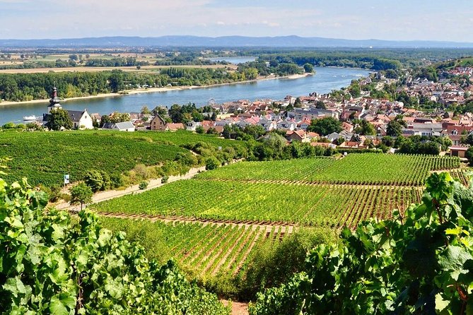Rhine Valley Wine Tasting Tour from Frankfurt and Mainz - Frankfurt or Mainz pickup: comfort, control, and flexibility