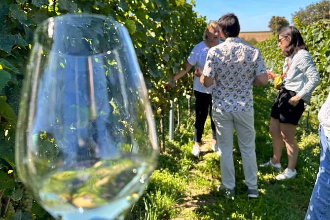 Rhine Valley Wine Tasting Tour from Frankfurt and Mainz - Winery visits: what you actually get beyond the pouring