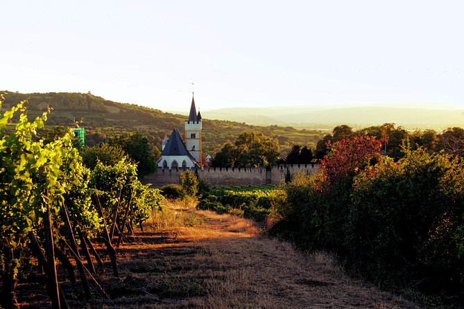 Rhine Valley Wine Tasting Tour from Frankfurt and Mainz - Lunch and wine tapas: the break that keeps the day fun
