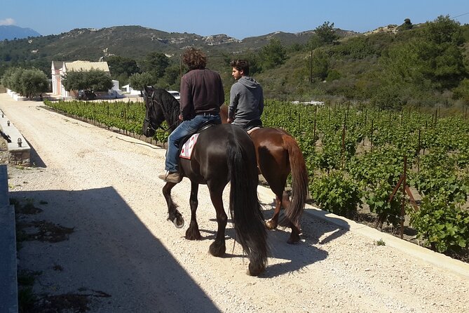 Rhodes Wine & Food Tour: 10 Meal Course Lunch, Wine Tasting, Cooking Class - Distillery stop: souma and tsipouro from fermentation to distillation