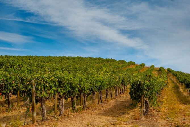 Rhodes Wine & Food Tour: 10 Meal Course Lunch, Wine Tasting, Cooking Class - The 10-course lunch and unlimited wine: where the value shows up