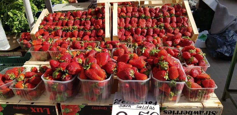 Riga: Central Market Latvian Food Tour - Who should book this Riga Latvian Food Tour