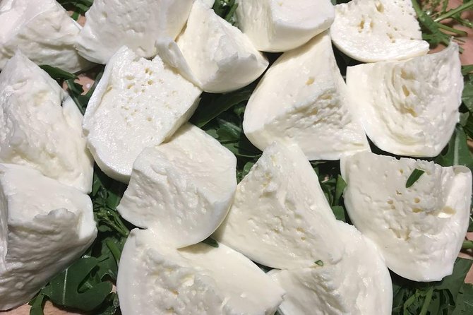 Roman Food Tour with Visit to the Trionfale Food Market - Group size, pacing, and how to not get sick from being too happy