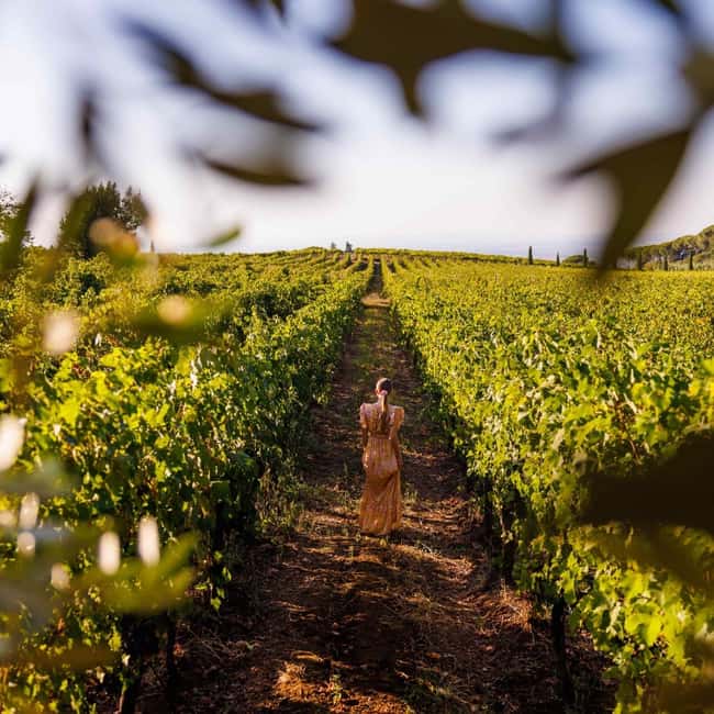 Rome: Private Castelli Romani Wine Tasting Tour - Key moments I’d plan around