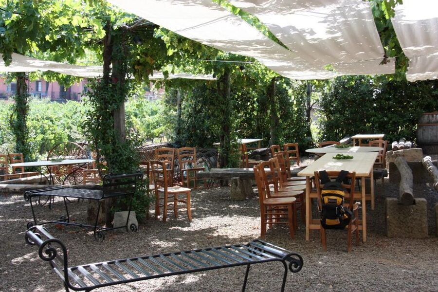 Rome: Private Castelli Romani Wine Tasting Tour - Price and value: is $99 per person fair for Rome?
