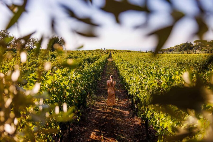 Rome: Private Countryside Wine Tasting Tour - Who Should Book This Tour (and Who Might Prefer Another Option)