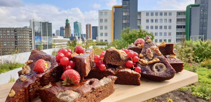 Rotterdam: Food Tour by Bike - Key things I’d circle before you book