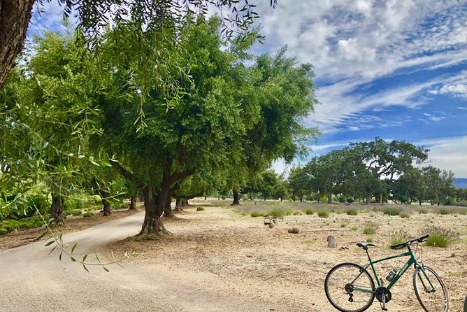 Santa Ynez Valley Biking and Wine Tasting Tour - Bikes, distance options, and what to bring for a smooth day