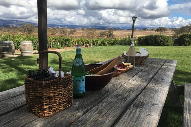 Santa Ynez Valley Biking and Wine Tasting Tour - Price and value: what $175 buys you in the real world