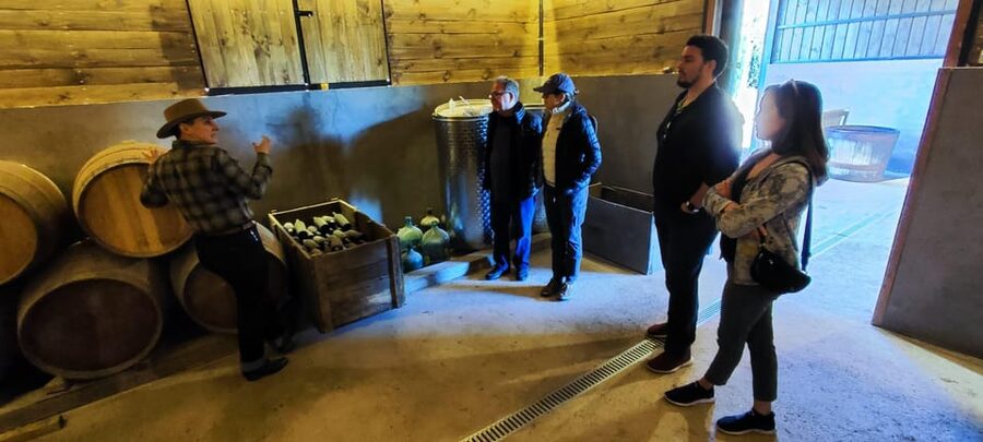 Santiago: Maipo Valley Wine Tasting Tour with 4 Vineyards - Practical tips so you enjoy every stop