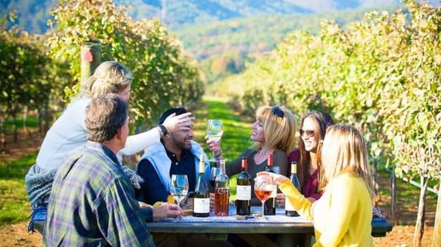 Santiago: Maipo Valley Wine Tasting Tour with 4 Vineyards - How 10 hours in Maipo Valley actually plays in real life