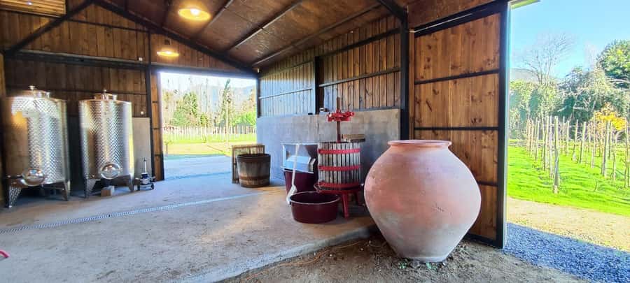 Santiago: Maipo Valley Wine Tasting Tour with 4 Vineyards - Who this tour fits best (and who should think twice)