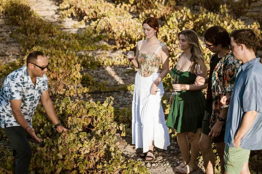 Santorini: Wine Tasting Tour with Snacks - Key Things I’d Plan Around