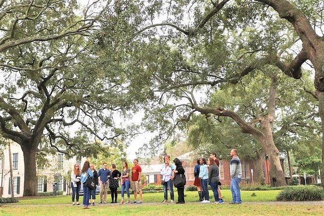 Savannah Southern Fried Expectations Walking Food Tour - Stop-by-Stop: Four Fried Food Hotspots (and What to Expect)