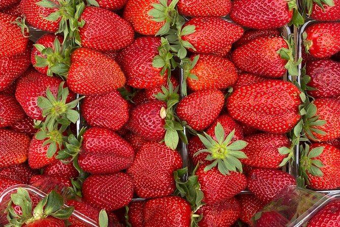 Savor Athens Walk: A Culinary & Travel Writer’s Insider Food Tour - Meeting Dimitris and Starting at Omonia Square