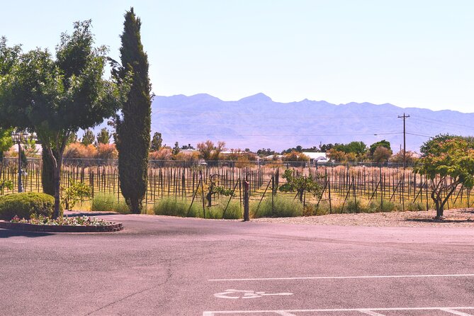 Scenic Wine Tasting Tour from Las Vegas with Food - Getting Started at the Harley-Davidson Meeting Point