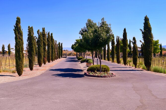 Scenic Wine Tasting Tour from Las Vegas with Food - Stop 1 in Pahrump: Artesian Cellars and a Relaxed First Tasting