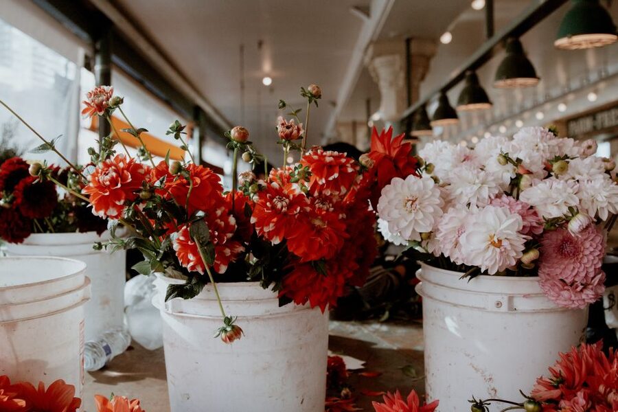 Seattle: Early-Bird Tasting Tour of Pike Place Market - How the Route Feels on the Ground (and Who It Suits Best)