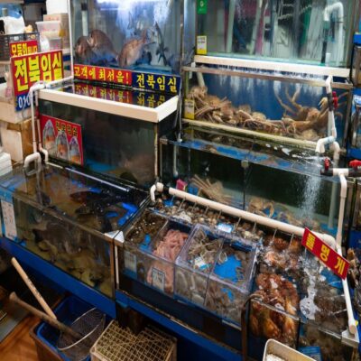Seoul: The Biggest Sea-food Noryangjin Market Food Tour - The 2-hour flow: meeting at Noryangjin Station Exit 7