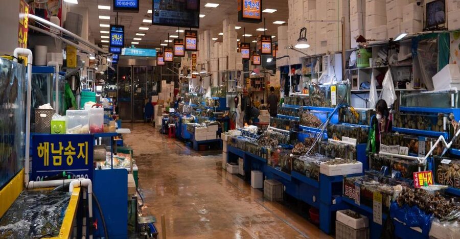 Seoul: The Biggest Sea-food Noryangjin Market Food Tour - Fish-market culture facts that actually help you choose