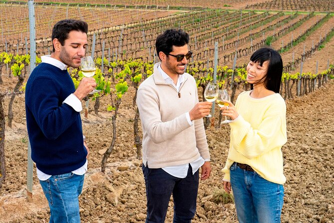 Setúbal: Winery & Fish Market Tasting Tour from Lisbon - Wine, Fish, and Castle Views: What This Day Trip Really Delivers