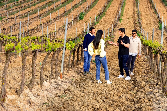 Setúbal: Winery & Fish Market Tasting Tour from Lisbon - Palácio da Bacalhôa Wine Visit: More Than a Quick Tasting