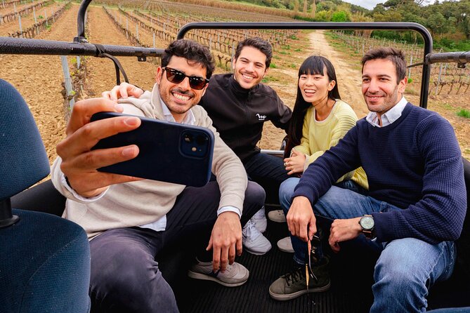Setúbal: Winery & Fish Market Tasting Tour from Lisbon - Mercado do Livramento: The Food-Wine Pairing Break You’ll Actually Remember