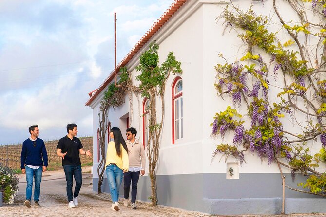 Setúbal: Winery & Fish Market Tasting Tour from Lisbon - Who This Tour Fits Best (and Who Should Skip It)