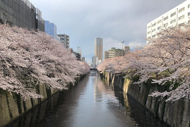 Shinjuku: Food Tour – 15 Dishes & 3 Drinks at 4 Eateries - Price and Value: Is $112.75 a Good Deal?
