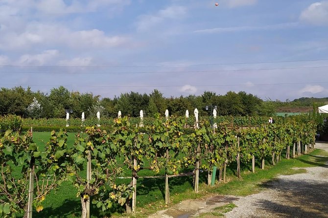 Siena and San Gimignano from Rome: Wine Tasting Tour in Tuscany - Piazza del Campo and the medieval heart of Siena