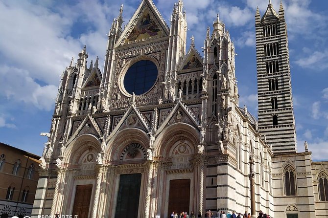 Siena and San Gimignano from Rome: Wine Tasting Tour in Tuscany - Tenuta Torciano: the winery stop that ties the day together
