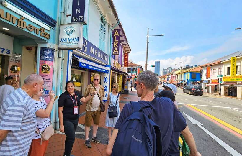 Singapore: Little India Hawker Street Food Tour - What you learn beyond food: history stops and street art