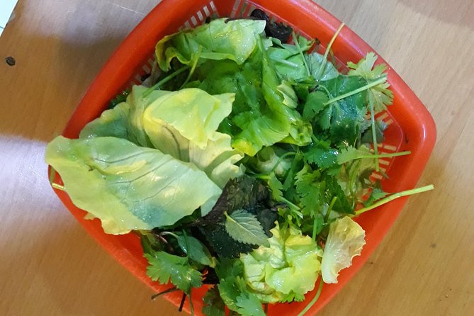 Small Group Hanoi Street Food Tour with a Real Foodie - Dietary Options and Allergies: How This Tour Can Fit You