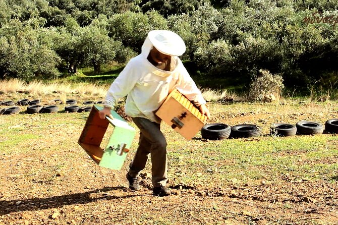 Small-Group Honey & Extra Virgin Olive Oil Tasting Tour in Crete - Key Things That Make This Tour Work
