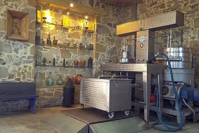 Small-Group Honey & Extra Virgin Olive Oil Tasting Tour in Crete - Meet the Host: Mariana’s Energy and How It Helps