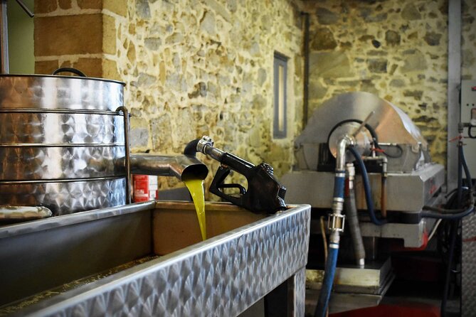 Small-Group Honey & Extra Virgin Olive Oil Tasting Tour in Crete - Olive Oil on Site: From Fruit to Cold-Pressed Taste