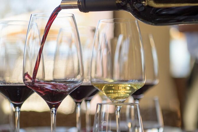 Small group Wine Tasting Tour from Lagos - Quinta do Frances winery: three wines and a production-room tour